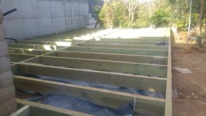 20161102_084011 (Medium)